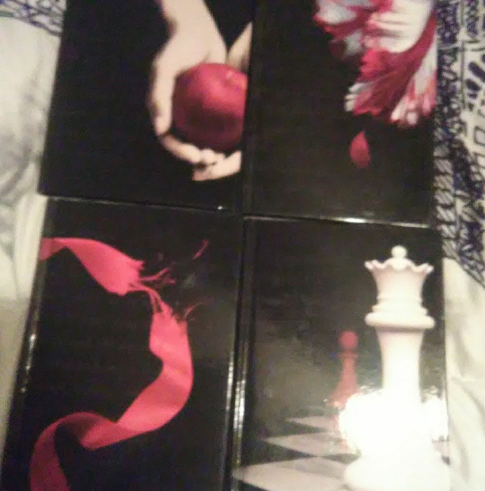 Twilight series journals set!